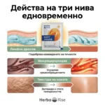 Body Shaper - Drainage & Cellulite Support - Image 4