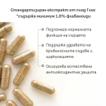 Hawthorn extract 350 mg, 1.8% flavonoids - Image 2