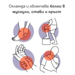 Actygel - Fast Relief Gel for Muscle & Joint Comfort - Image 8