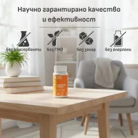 Лъвска Грива екстракт 340 мг | 20% полизахариди