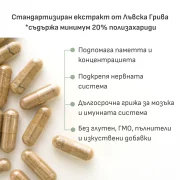 Лъвска Грива екстракт 340 мг | 20% полизахариди