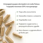 Рейши екстракт 425 mg | 20 % полизахариди