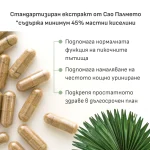 Сао палмето екстракт 380мг. - Image 4