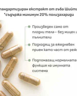 Шийтаке екстракт 570мг.