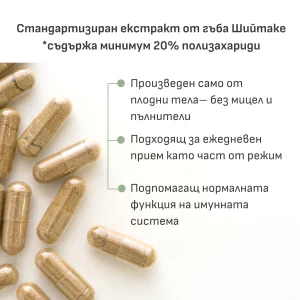Шийтаке екстракт 570 mg | 20% полизахариди