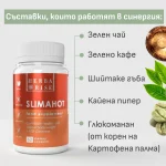 Slimahot — за активно изгаряне на мазнини - Image 4