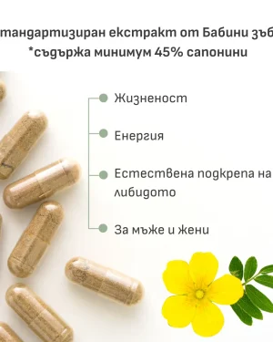 Бабини зъби екстракт 560мг. 45% сапонини