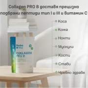 Collagen PRO B Хидролизиран колаген тип I и III