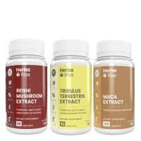 Енергия и устойчивост