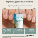 Collagen PRO B – комплексна грижа за стави, кожа, коса и нокти - Image 5