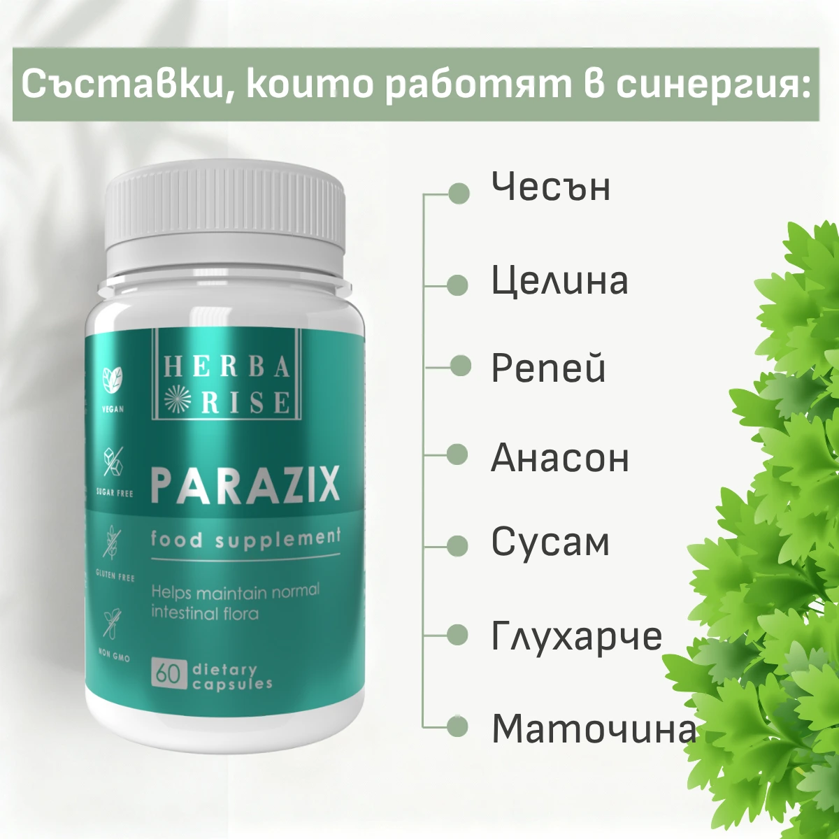 PARAZIX Комплекс против паразити