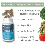 Prostalfix — за здрава простата - Image 5